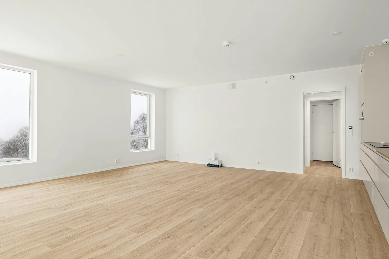 Grande pièce vide aux murs blancs avec deux hautes fenêtres, une porte ouverte, une rangée de meubles de cuisine et un parquet clair